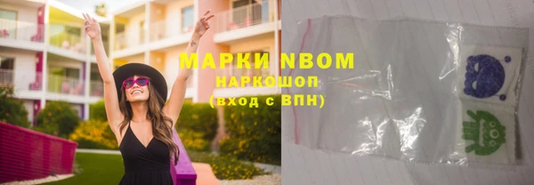 apvp Алзамай