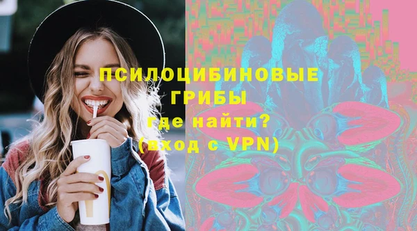 apvp Алзамай