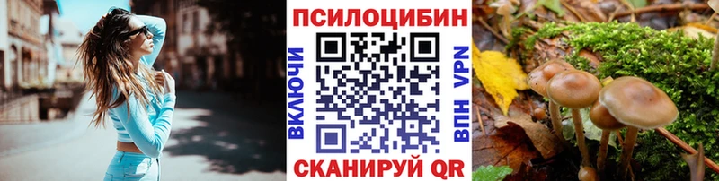 Псилоцибиновые грибы Cubensis  магазин продажи   Ахтубинск 